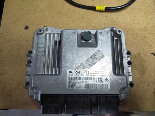 Centralina peugeot 207 1600 - 207,