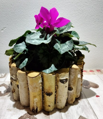 Fioriera legno rotonda - in,