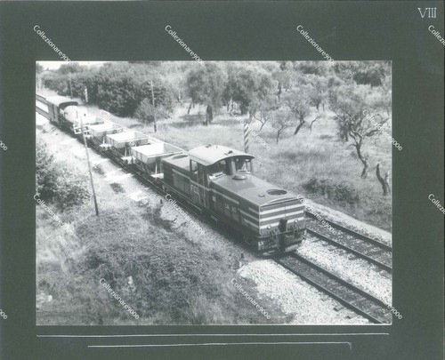 Tre treni ferroviecalabro - 9),