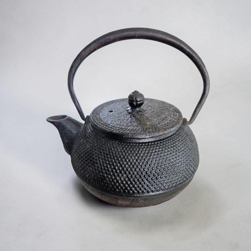 Antica teiera kyusu ghisa - antica,