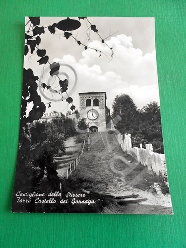 Cartolina castiglione delle - castiglione,