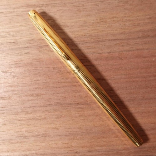 Penna stilografica parker - stilografica,