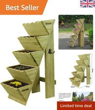 Elegant Rectangular 5 Tier