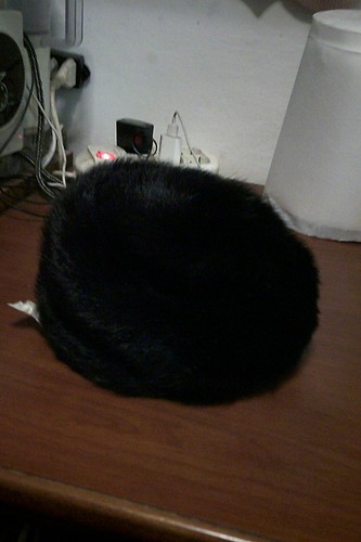 Cappello vere codette di - vere,