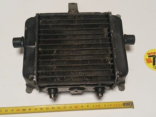 Radiatore minimoto polini - radiatore,