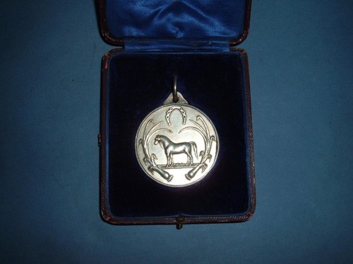 Medaglione argento gallese - d'argento,