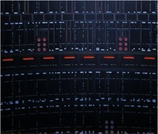 Sfondo diorama Ikea Detolf