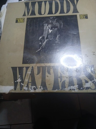 Vinyl album muddy waters - muddy,