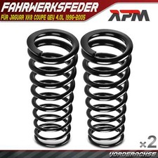 2X Molle Ammortizzatori