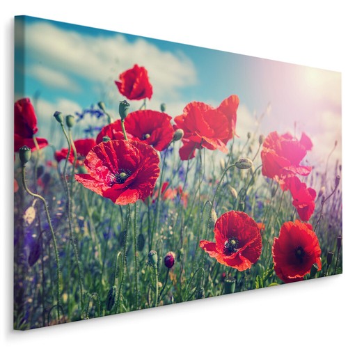 Quadri tela canvas xxl - su,