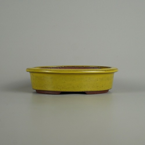 Vaso per bonsai giapponese