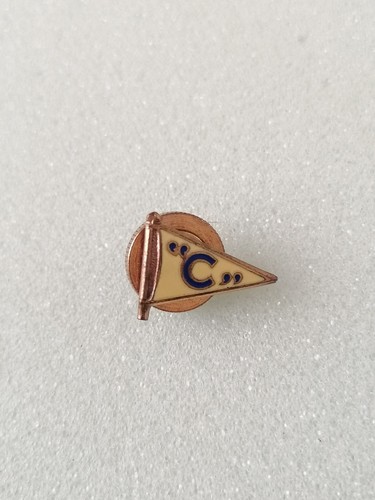 Badge pin spilla distintivo - pin,