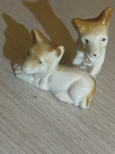 Basenji cani volpi - basenji,