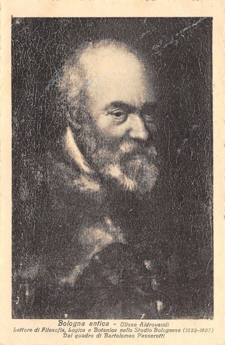 4646 ulisse aldrovanid - 4646),