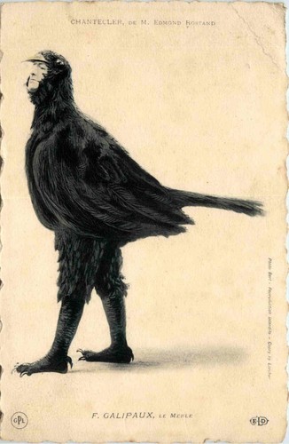 Chantecler edmond - chantecler, de