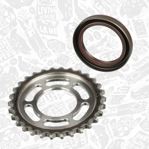 Kit catena distribuzione - kit,