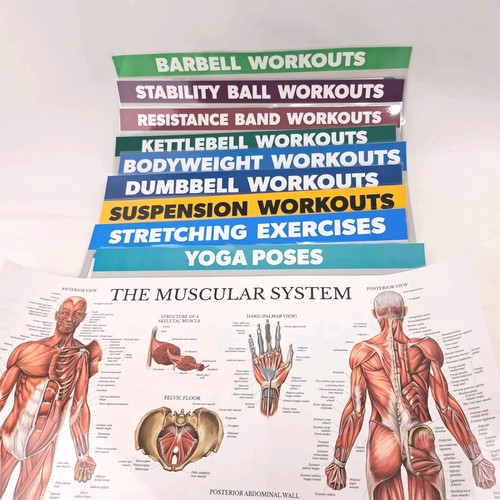 Allenamento esercizio - allenamento,