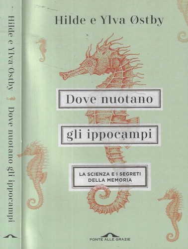Dove nuotano gli ippocampi la - gli, ippocampi.