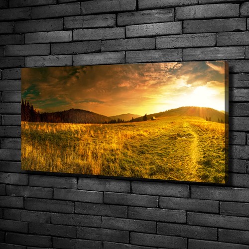 Quadro tela stampa - quadro,