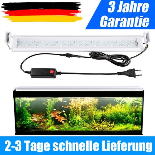 Illuminazione acquario led rgb - acquario,