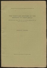 Reinhardt Thiessen / Vascular