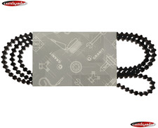 Cinghia Piatto Lame Trattorino