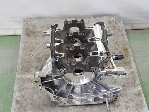 110119230r blocco motore - 110119230r,
