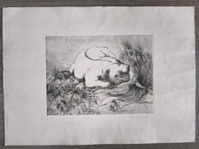 Bellissima calcografia firmata in originale_Ricercata opera di grande misura