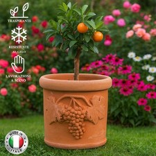 Vaso fioriera piante cilindro in Terracotta grappolo uva fatto a mano rest. gelo