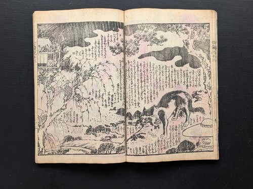 Libro giapponese con