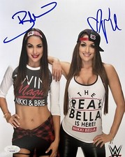 The Bella Twins Brie & Nikki