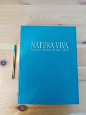 flora 1  - natura viva