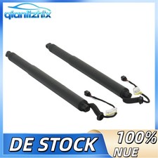 2x Sollevatore elettrico