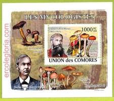 B0006 - COMORES - ERRORE ERRORE ERRORE ERRORE - 2008 Piante Funghi Bessey