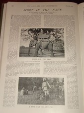 1901 Articolo Grande Caccia