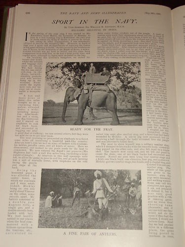 1901 articolo grande caccia - 1901,