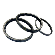 Cinghia di trasmissione per