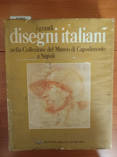 Grandi disegni italiani - disegni,