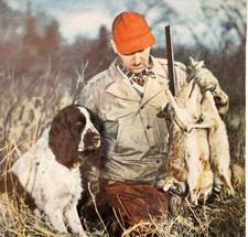1955 Coniglio Caccia Cane