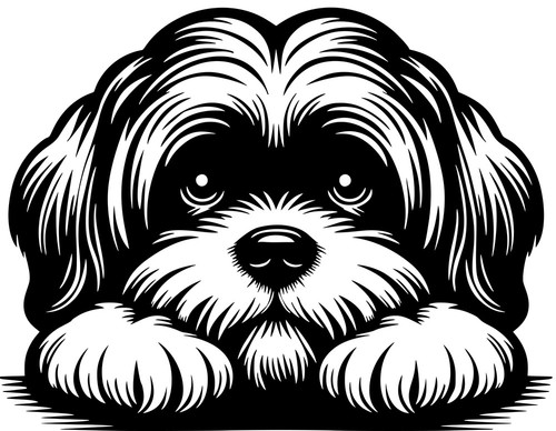 Adesivo lhasa apso - lhasa,