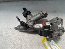 CANNA DELLO STERZO (PIANTONE)