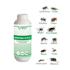 Copyr Cipertrin 10 plus  Insetticida Concentrato  1 LT Insetticida 