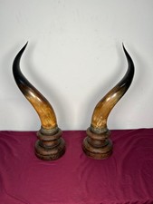Coppia di corna antiche  di