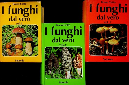 Funghi dal vero - vero:,