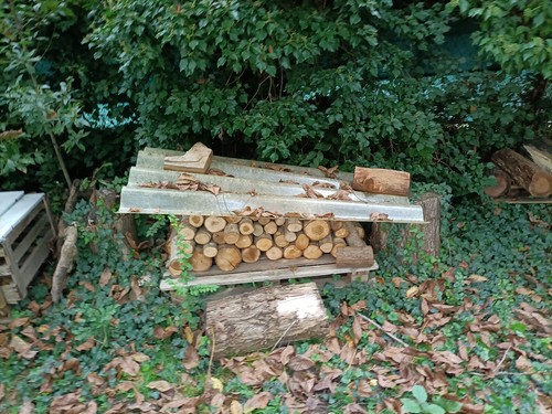 Legna ardere quercia in - legna,