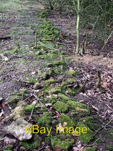 Photo 6x4 remains - photo, of