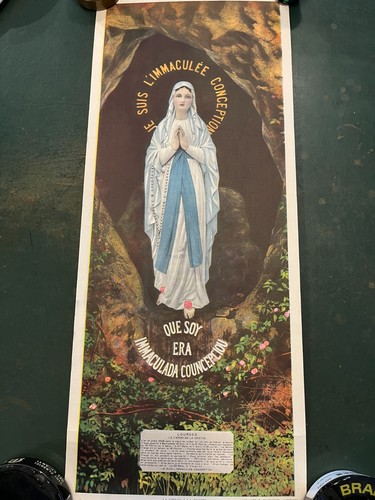 Lourdes madonna vergine - madonna, la