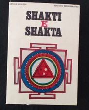 ARTHUR AVALON_SHAKTI E