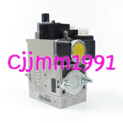 1pz nuovo dungs - 1pz,
