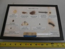 VERY RARE VINTAGE CENTRAL